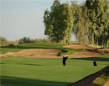 ریاستہائے متحدہ میں کتنے گالفرز ہیں؟